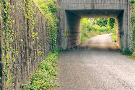 Arch Under the Bridge on the Road. Stock Photo - Image of horizontal ...