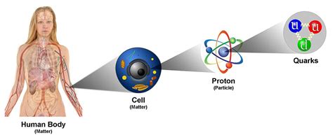 Los Quarks Tipos De Quarks Y Descubrimiento