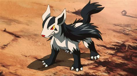 Mightyena Pokedex Guide Ign