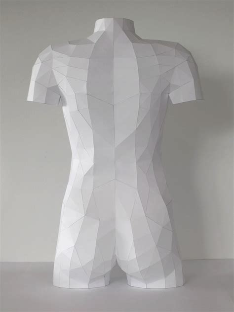 Paper Torso With Removable Organs