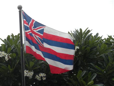 Hawaii state flag 2015