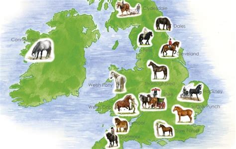 Native horse breeds of Britain - Country Life