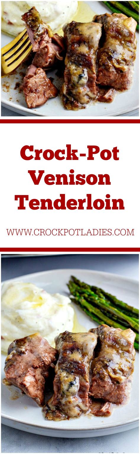 Recipes For Venison Backstrap In Crock Pot Dandk Organizer