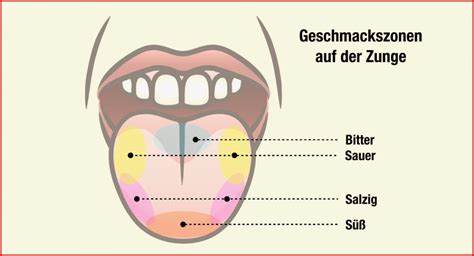 Geschmackssinn Arbeitsblatt Grundschule Methoden Sie Kennen M Ssen