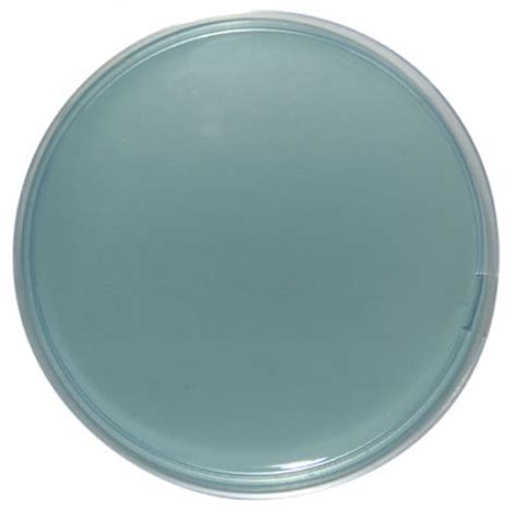 CLED Agar Cystine Lactose Electrolyte Deficient Medical Laboratories