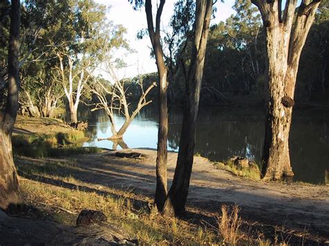 Deniliquin Riverside Caravan Park - Caravan Camping NSW