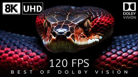 K Video Ultra Hd Fps Best Of Dolby Vision K Fps Youtube