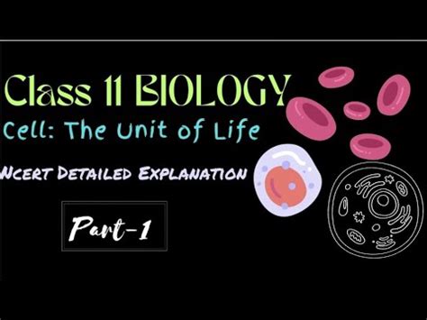 Class Biology Chapter Cell The Unit Of Life Ncert