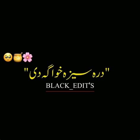 New Pashto Black Screen Love Poetry Whatsapp Status Sadpashtopoetry