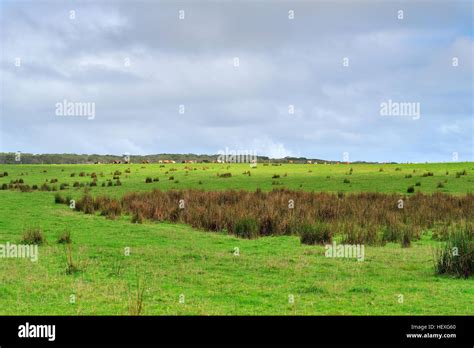 Great Ocean Road scenic drive of Melbourne Stock Photo - Alamy