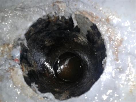 Sewage smell in basement - floor drain is full of sewage ...