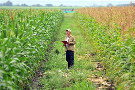 Empresas Agropecuarias Qué Son Administración Tipos Ejemplos