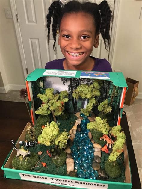 How To Make A Tropical Rainforest Diorama For Under Diy Science