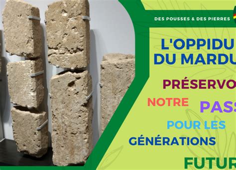 Loppidum Du Marduel Préservons Notre Passé Pour Les Générations Futures