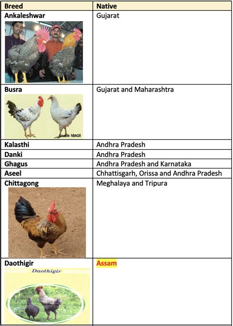 Poultry Breeds