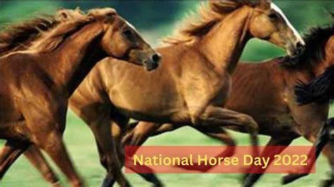 National Horse Day 2022: Date, Theme, History, Significance ...