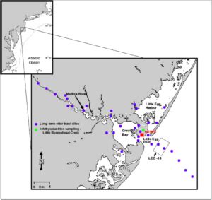 Sampling Site Rutgers University Marine Field Station