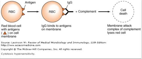 Hypersensitivity Reaction - Immunology - The Nepali Doctor