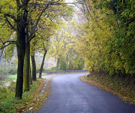 Free Images Landscape Tree Nature Forest Path Grass Trail