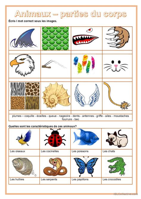 Dictionnaire D Images Animaux Pa English Esl Worksheets Pdf Doc