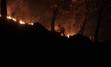 Por Incendio Forestal En Zapopan Activan Alerta Atmosférica