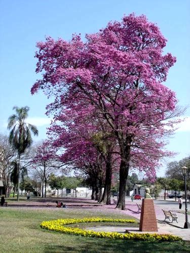 San Ram N De La Nueva Or N Provincia De Salta