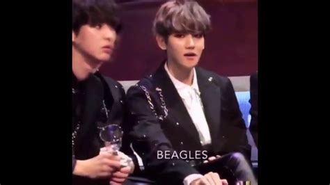 Exo Being Perverts Gay Part Youtube