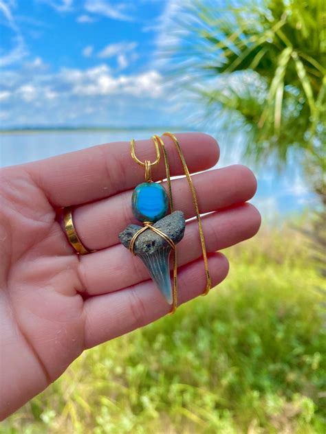 K Gold Plated Shark Tooth Necklace Etsy