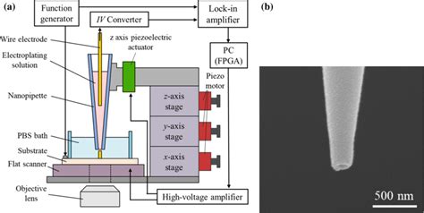 Setup Of The Deposition System A Schematic Of The Deposition System