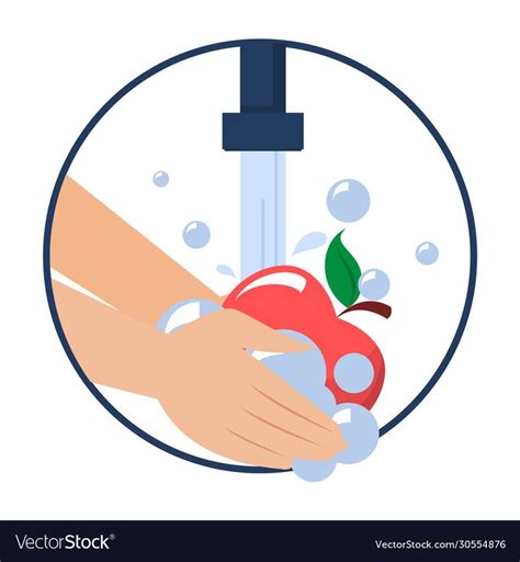 Hand Washing Apple Isolated Wash Fruits Vector Image On Vectorstock