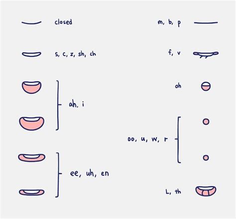 A chart on lip sync for animation – Artofit