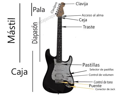 Partes De La Guitarra Cl Sica Guitarra El Ctrica Guitarra Ac Stica