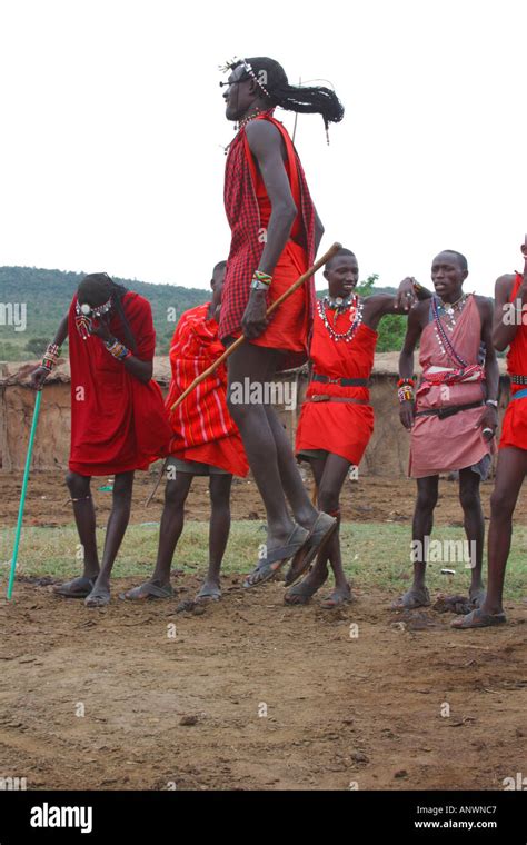 Maasai Warriors Jump During Dancing Masai Mara National Nature Reserve