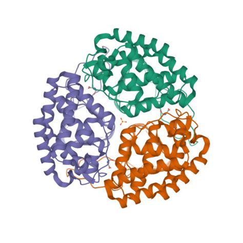 Rcsb Pdb Q X Crystal Structure Of Entamoeba Histolytica Serine