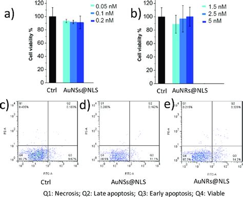 Au Nanoparticles Cytotoxicity Measurements And Cellular Uptake A