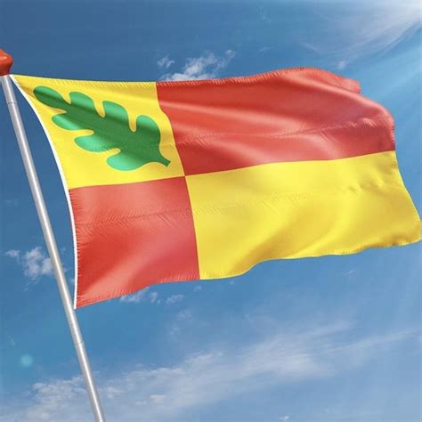 Vlag Oudega 70 X 100 Cm Polyester Bol