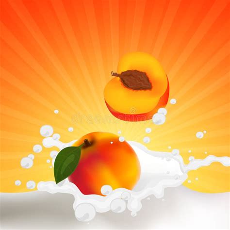 Peach Falling Milk Stock Illustrations 135 Peach Falling Milk Stock