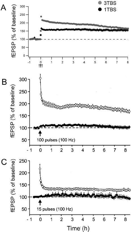 Number Of Pulses Or Trains Does Not Affect Ltp Duration A Ltp Was Download Scientific