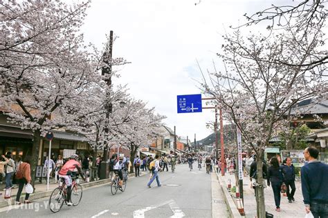 【京都嵐山一日遊】必去嵐山景點、散步路線、絕美櫻花滿開攻略 Bringyou