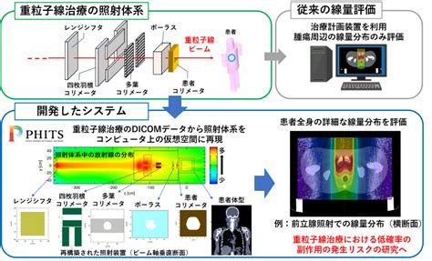 日本原子能机构和qst开发出重离子治疗全身辐射量评估系统 日本劳动厚生省认定【日本就医网】