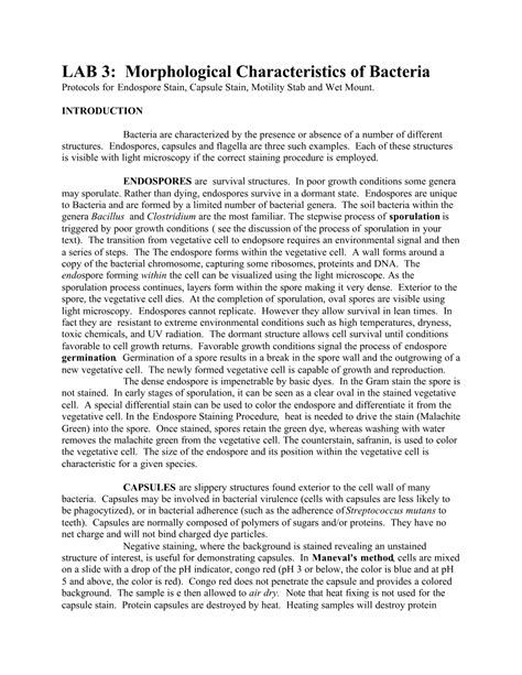 LAB 3 Morphological Characteristics Of Bacteria Protocols For