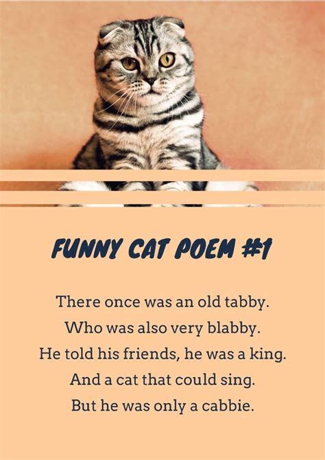 16 Cat Poems For Kids To Read 🐈 Imagine Forest