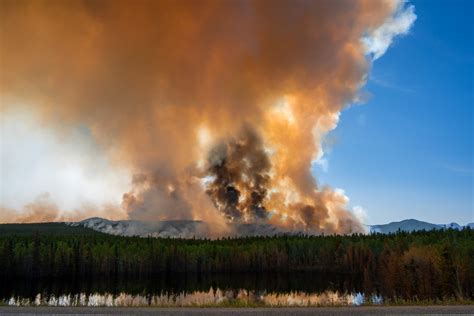 Incendio Forestal Louisiana Ordenan Evacuaci N En Zona Afectada