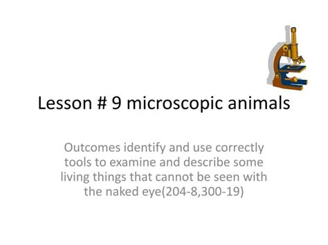 PPT - Lesson # 9 microscopic animals PowerPoint Presentation, free ...