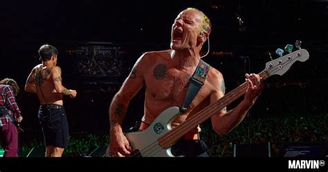 Flea De Red Hot Chili Peppers Estrenar Podcast