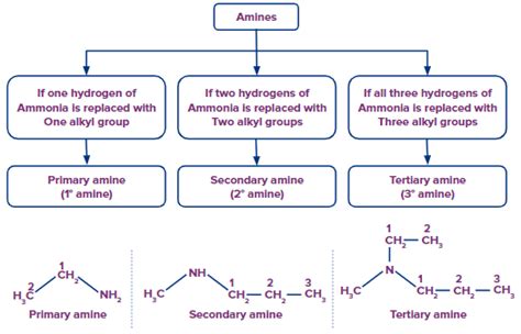 Iupac Nomenclature Of Carboxylic Acids Acid Anhydrides Esters Acyl Halides Amides Cyanides