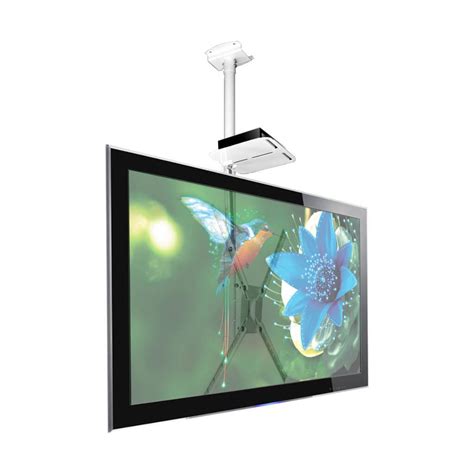 SUPORTE DE TETO BRASFORMA PARA TV LCD 10 A 55 SBRP150B BRANCO