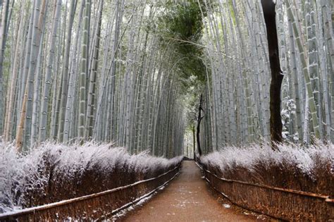 【京都嵐山】冬天更浪漫！下雪穿搭指南＆7大推薦景點全攻略 完美行旅遊情報（wamazing Discover）