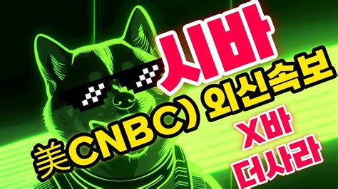 시바이누 코인 美cnbc 외신속보 X바 더사라 시바이누 시바이누코인 시바이누코인전망 시바이누호재