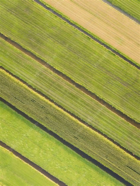 Aerial view of fields, Netherlands - Stock Image - F040/5182 - Science ...